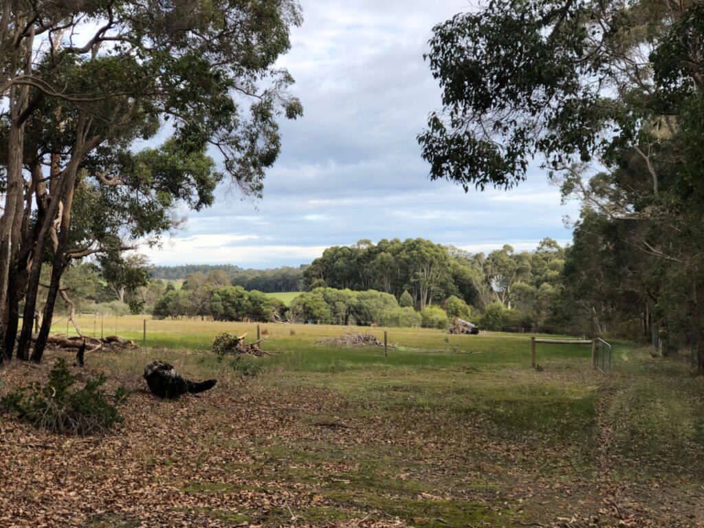 Beautiful nature view Margaret River
