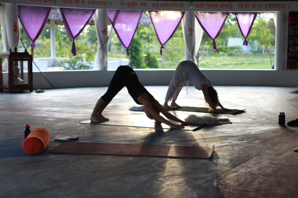 Downward dog yogis India retreat