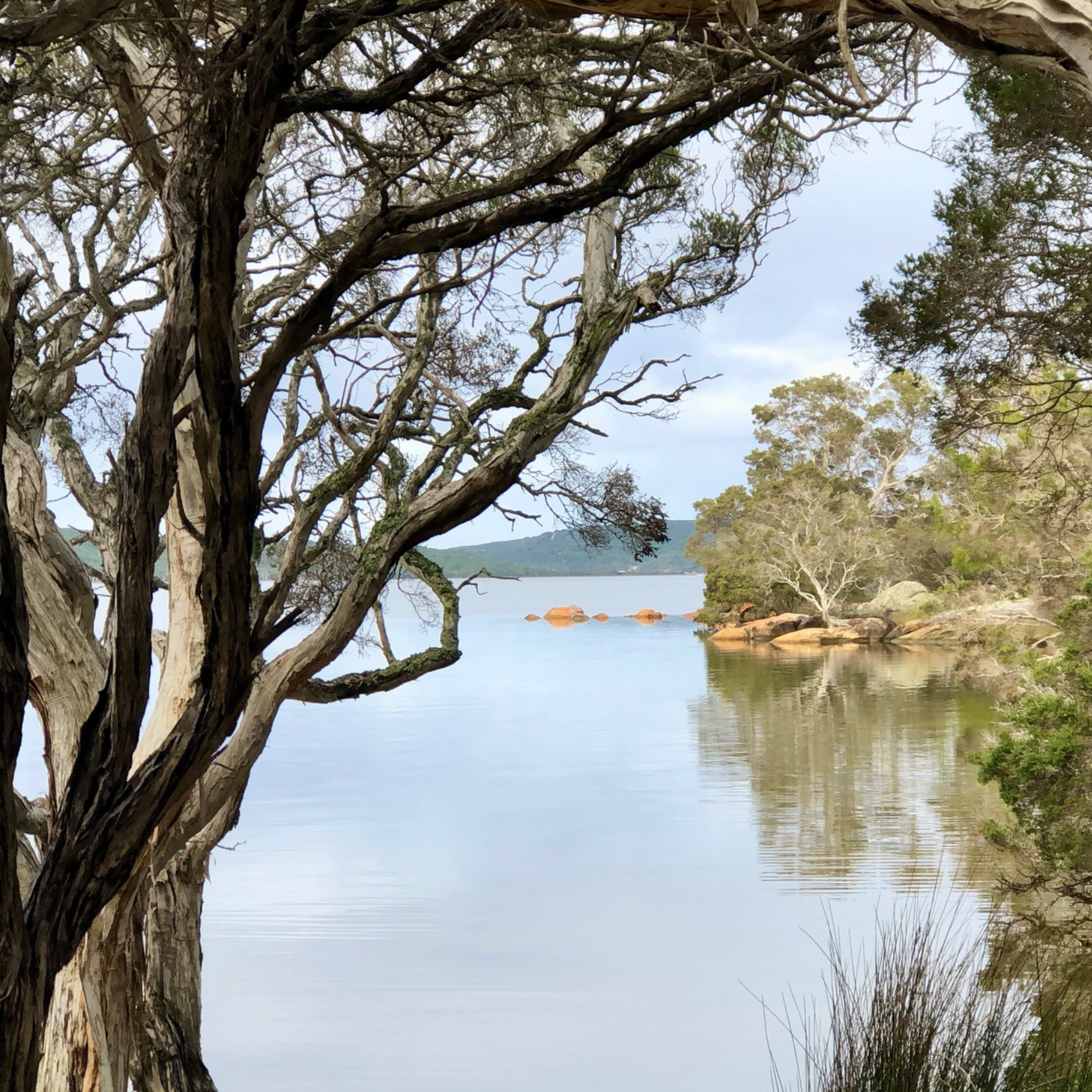 Meditating next to the inlet