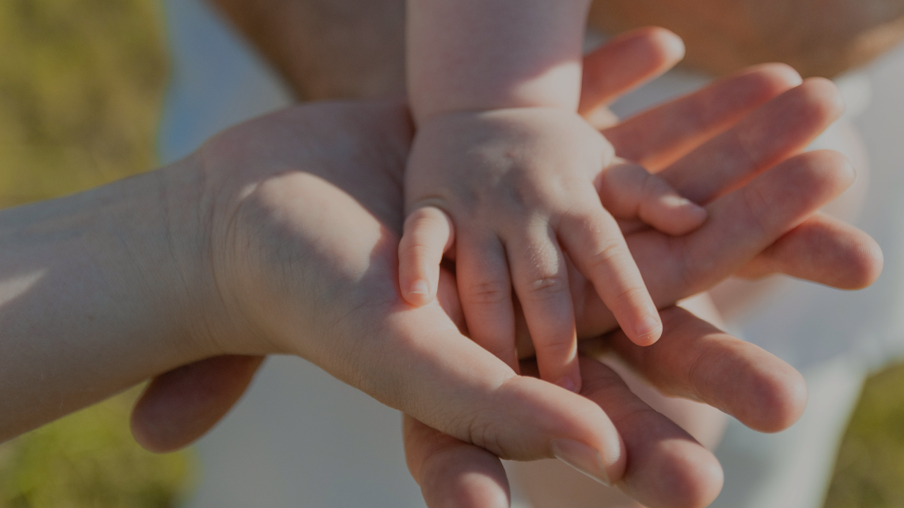 Family holding hands